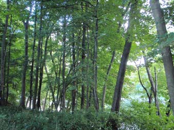 community photo